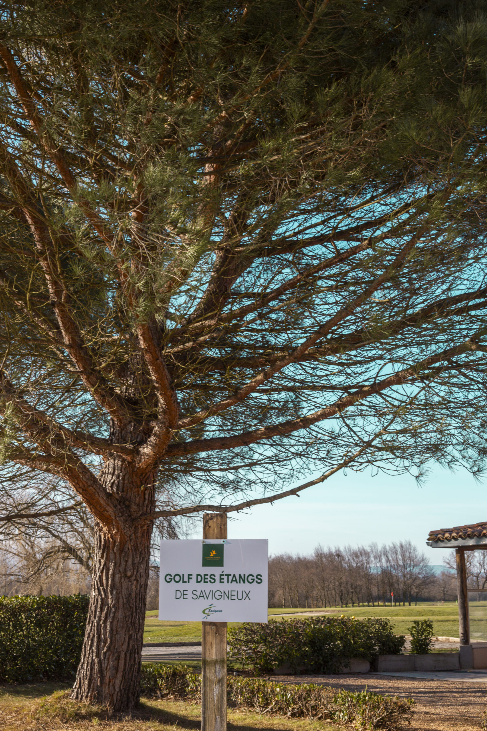 Golf des Etangs Savigneux Golf des Etangs Savigneux